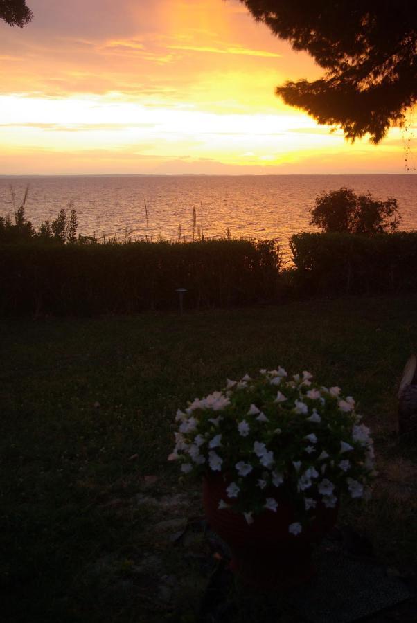 Seafront Studio - Akti Elia Nikiti  Bagian luar foto